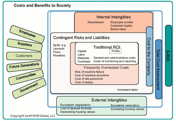 s-roi overview diagram