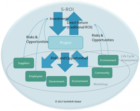 S-ROI flow chart