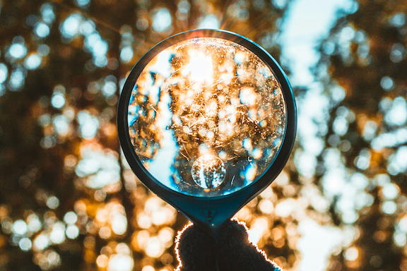 magnifying glass looking at trees