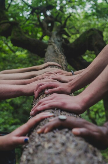 hands holding onto tree Photo by Shane Rounce on Unsplash