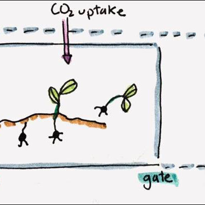 biogenic carbon illustration