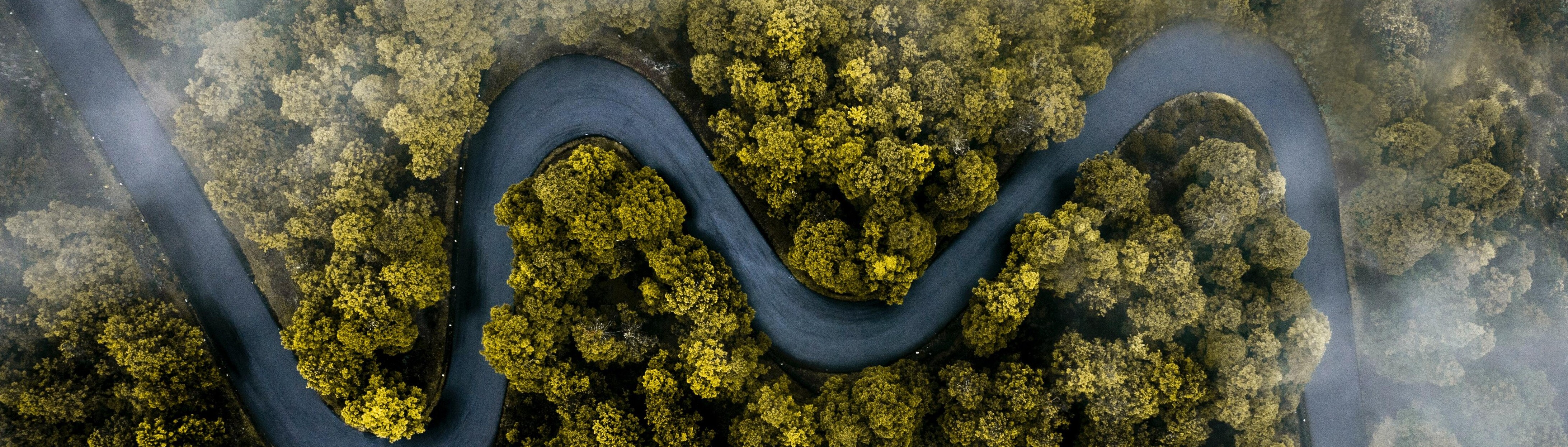 river winding through forest