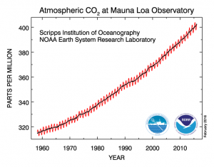 Atmospheric Co2 at Mauna Loa Observatory graph